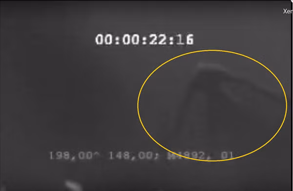  Ningen được mệnh danh là quái vật bí ẩn nhất Trái đất. Nó được người Nhật Bản phát hiện ra vào năm 1990, và trong hơn 30 năm qua đã làm giới khoa học gia nước này đau đầu vì độ ... vô tích sự của nó.