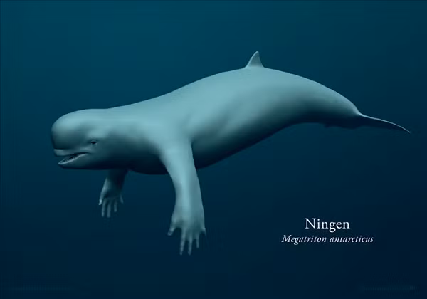 Tiến sĩ Shinzi còn cho rằng, trong thế giới thiên nhiên kỳ thú, xuất hiện không ít những sinh vật lạ mang dáng dấp dị hình khác thường mà không phải loài vật nào con người cũng có thể chỉ đích danh để phân loại.