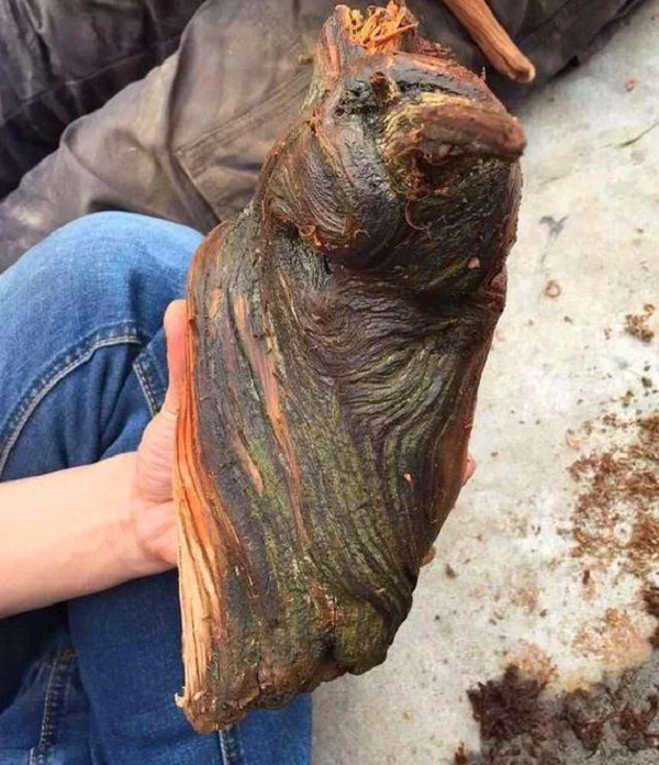 Một ý nghĩ đột nhiên lóe lên trong đầu Tiểu Đinh, tại sao anh ta lại đòi mua khúc gỗ này, chắc chắn có gì uẩn khúc trong đó. Vì thế, Tiểu Đinh liền lấy cớ thoái thác người bạn.