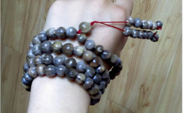 Tuy nhiên, sau khi nhìn thấy "món trang sức" mới làm thì bà nội từ đâu lao ra vội giật chúng từ tay đứa trẻ và vứt xuống đất rồi la lên "Thứ này không tốt, hạt này biết hút máu người đấy, không biết à mà đeo vào người con? Mà hạt này còn khiến bọn trẻ con bị đái dầm nữa đấy, bỏ ngay đi."