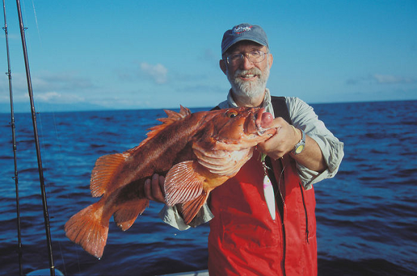 Cá quân Rougheye có tên khoa học là Sebastes aleutianus. Đây là một trong những loài cá sống lâu nhất trên Trái đất. Phải mất hàng chục năm để một con cá quân Rougheye con trưởng thành do chúng phát triển rất chậm.