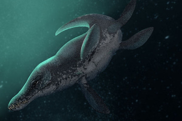 Kronosaurus là loài động vật săn mồi tối cao ở thời giữa kỷ Cretaceous. Chiều dài của nó lên tới 9 đến 10 mét, nặng 7 tấn, với cái đầu lớn, hàm khỏe và răng dài đến 7cm, chiếc lớn nhất dài tới 30cm.