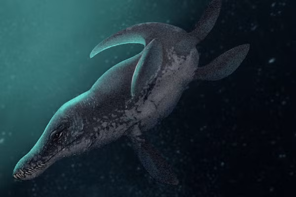 Kronosaurus là loài động vật săn mồi tối cao ở thời giữa kỷ Cretaceous. Chiều dài của nó lên tới 9 đến 10 mét, nặng 7 tấn, với cái đầu lớn, hàm khỏe và răng dài đến 7cm, chiếc lớn nhất dài tới 30cm.
