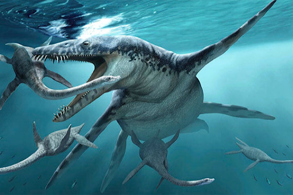 Sở hữu bộ hàm dài và những chiếc răng sắc nhọn, Liopleurodon dễ dàng khuất phục những cá sấu biển, cá khổng lồ Leedsichthys, ichthyosaurs và thậm chí cả những loài bò sát biển khổng lồ khác.