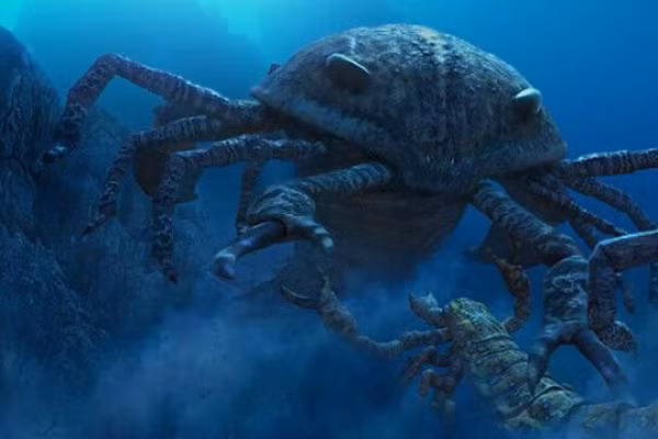 Bọ cạp biển Jaekelopterus rhenaniae là loài săn mồi đáng sợ nhất ở thời đại của chúng. Loài bọ cạp này săn bắt cá và ăn thịt cả đồng loại ở những vùng nước nông gần bờ.