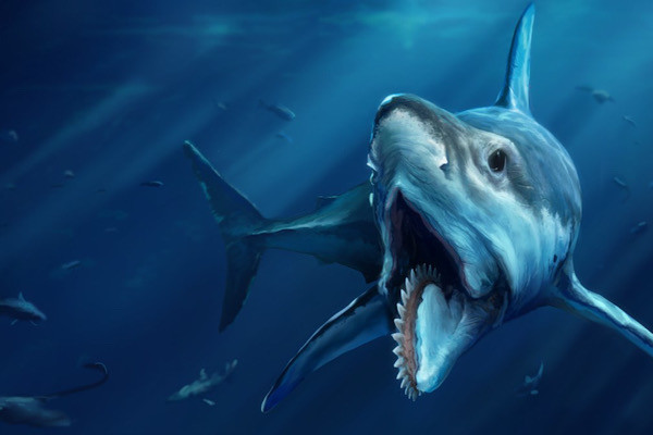 Helicoprion là loài thuỷ quái khổng lồ sống cách đây 250 triệu năm. Nó nặng gần nửa tấn và dài đến gần 8m, to hơn bất cứ loài cá nào ở đại dương. Cơ thể loài vật này rất giống cá mập ngoại trừ cụm răng xếp theo xoắn ốc - thứ vũ khí hạng nặng để chúng xé nát con mồi.