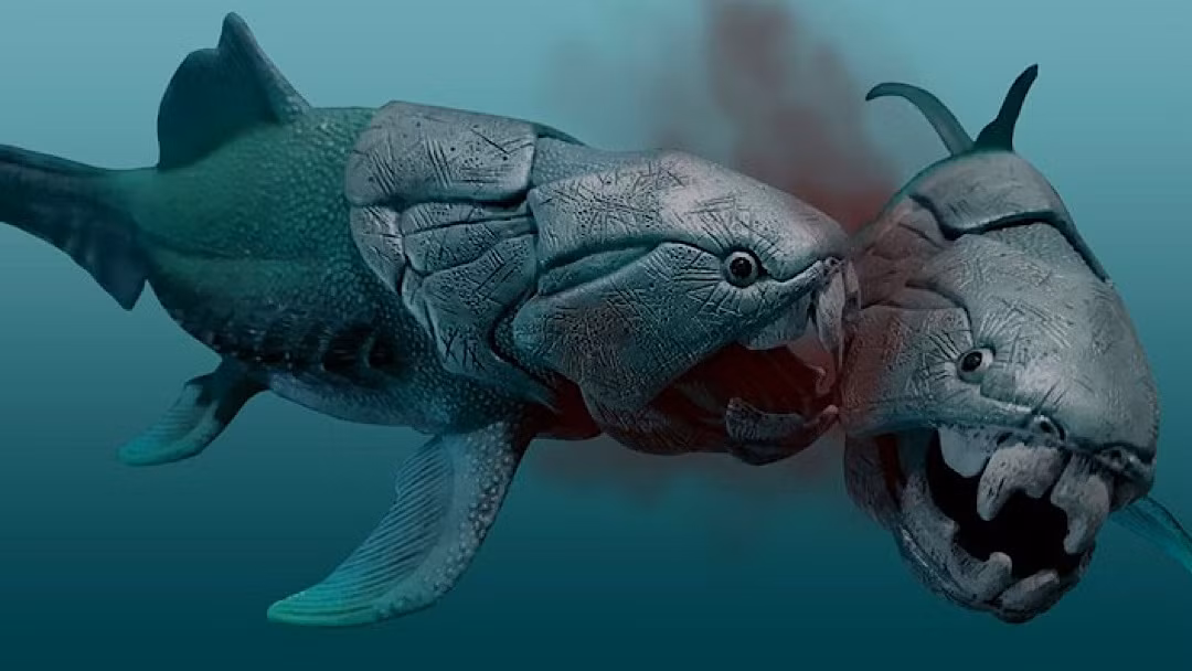 Dunkleosteus là một chi cá da phiến tuyệt chủng, từng tồn tại vào cuối kỷ Devon, khoảng 380–360 triệu năm trước. Vài loài, ví dụ như D. terrelli, D. marsaisi, và D. magnificus, nằm trong số những loài cá da phiến lớn nhất từng sinh tồn.