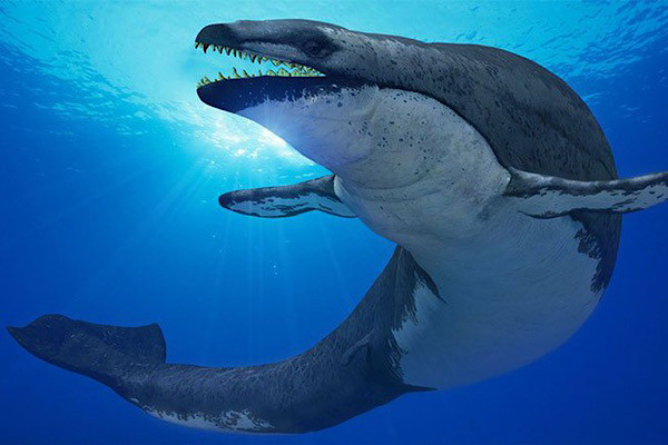 Basilosaurus là danh pháp khoa học của một chi cá voi sống từ 40 tới 34 triệu năm trước trong thế Eocen muộn. Basilosaurus đã tiến hóa cho cơ thể thuôn dài giống như rắn biển giúp nó có thể bơi nhanh hơn. Hộp sọ của loài cá voi này hẹp, nhỏ so với cơ thể chứng tỏ nó có lực cắn mạnh.