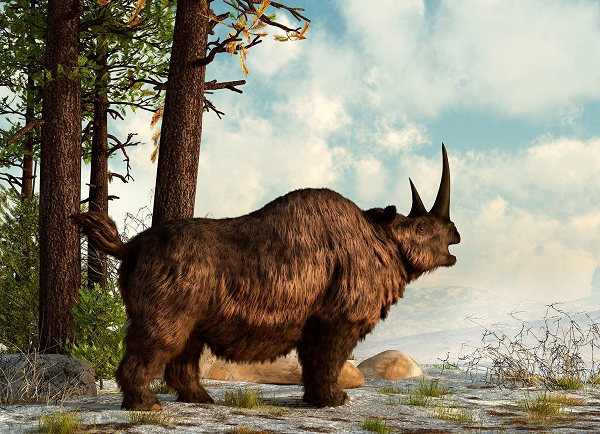 Mục đích của nghiên cứu nhằm đánh giá những tác động riêng của loài người lên hệ động thực vật của Trái đất. Kết quả cho thấy cảnh quan thế giới có thể thay đổi hoàn toàn theo hướng đáng mơ ước.