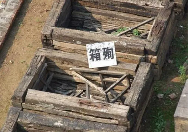 Sau khi lăng mộ Tần Công được khai quật, các nhà khảo cổ học vô cùng phấn khởi. Không phải vì phát hiện được 186 bộ xương mà là do phát hiện được nhiều di sản văn hóa quý giá chưa từng thấy ở dưới lăng mộ.