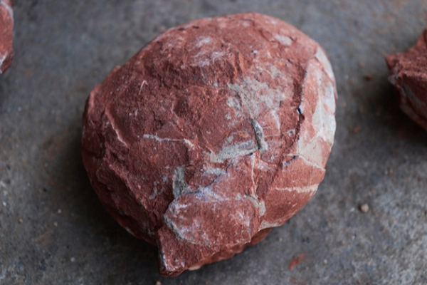 Theo tiết lộ, những hóa thạch trứng khủng long này đã được bán ở với giá hàng chục nghìn thậm chí hàng trăm nghìn USD.