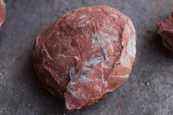 Theo tiết lộ, những hóa thạch trứng khủng long này đã được bán ở với giá hàng chục nghìn thậm chí hàng trăm nghìn USD.