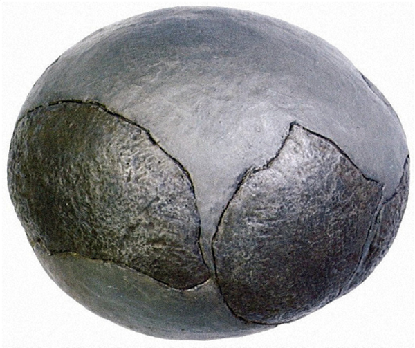 Sự thiếu hiểu biết của những người nông dân ở làng Hồng Trại Tử đã khiến các hóa thạch đã bị thất lạc nghiêm trọng.