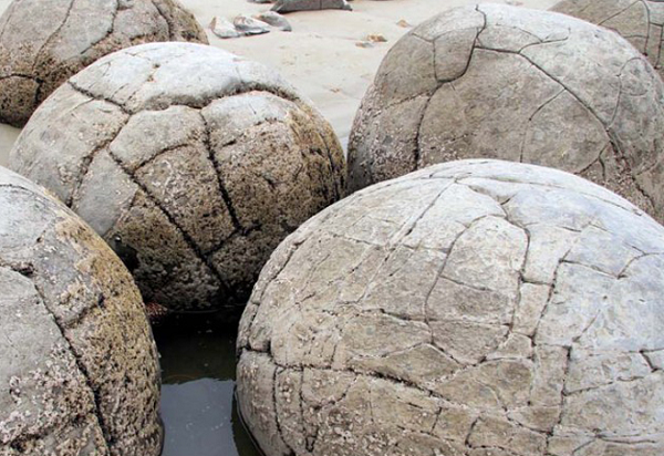 Những hóa thạch này đã hơn 100 triệu năm tuổi. Tổng cộng có 38 cụm hố hóa thạch trứng khủng long được phát hiện, và mỗi hố chứa khoảng 20 quả trứng.