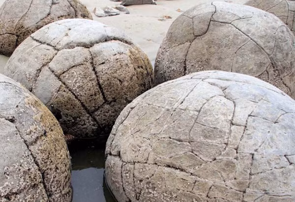 Những hóa thạch này đã hơn 100 triệu năm tuổi. Tổng cộng có 38 cụm hố hóa thạch trứng khủng long được phát hiện, và mỗi hố chứa khoảng 20 quả trứng.