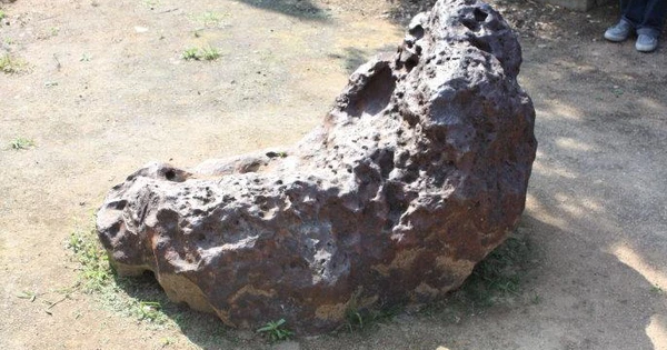 Theo sử sách địa phương, tổ tiên của họ Dương di cư từ Thiều Quan đến thôn Dương Ốc thuộc xã Mã Lĩnh ở huyện Long Môn, Quảng Đông, Trung Quốc 300 năm trước.