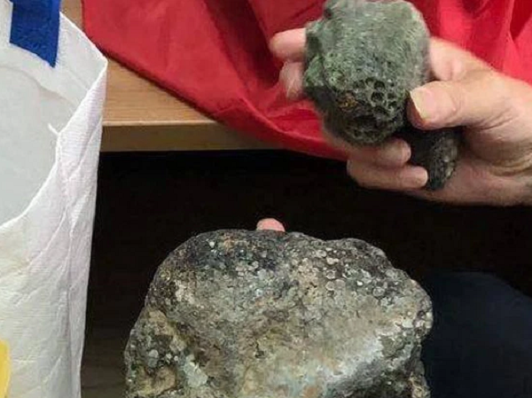 Vương Kiện, một nhân viên văn phòng ở Nhã An, thuộc tỉnh Tứ Xuyên, Trung Quốc đã tình cờ nhặt được những viên đá kỳ lạ ở đập Lưỡng Hà Khẩu và đem về nhà.