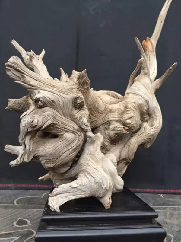 Mặc dù "tảng đá" này nằm ở vị trí khá cheo leo nhưng Tiểu Lý vẫn quyết định đem nó về nhà làm vật trang trí trong sân nhà mình. Tuy nhiên khi nhấc lên nó lên không quá nặng nên nghi ngờ không phải là đá.