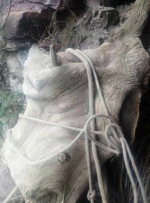 Tiểu Lý (Trung Quốc) sinh ra và lớn lên ở miền núi, anh làm công việc hái thuốc. Một hôm lên núi như thường ngày anh vô tình phát hiện ra một thứ giống với một tảng đá có hình thù kỳ dị.