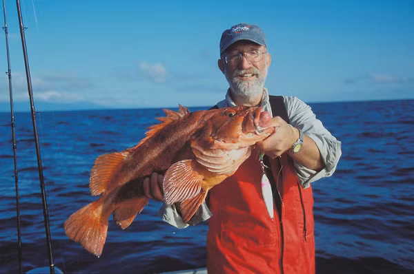 Cá quân Rougheye có tên khoa học là Sebastes aleutianus. Đây là một trong những loài cá sống lâu nhất trên Trái đất. Phải mất hàng chục năm để một con cá quân Rougheye con trưởng thành do chúng phát triển rất chậm.