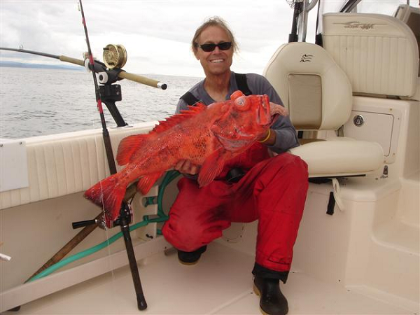 Sabrina Beyer - nhà sinh thái học chuyên nghiên cứu cá ở Đại học California, Santa Cruz cho biết tuổi thọ dài là điều thiết yếu đối với một số loài cá quân.