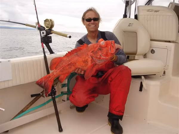 Sabrina Beyer - nhà sinh thái học chuyên nghiên cứu cá ở Đại học California, Santa Cruz cho biết tuổi thọ dài là điều thiết yếu đối với một số loài cá quân.