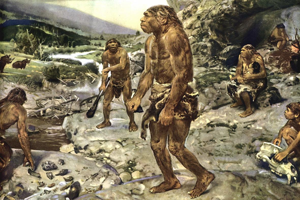Loài của chúng ta và các loài người từng sống cùng thời điểm như người Neanderthals và người Denisovans cũng có "họ hàng gần", đó là lý do vị tổ tiên trực tiếp này từng bị lầm lẫn với người Neanderthals vì có nhiều đặc tính giống nhau.