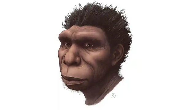 Nhóm nghiên cứu dẫn đầu bởi nhà cổ nhân học Mirjana Roksandic từ Đại học Winnipeg (Canada) đã phát hiện một tổ tiên mới của người hiện đại sống ở châu Phi vào giai đoạn giữa thế Pleistocen (thế Canh Tân, là thế trước của kỷ Đệ Tứ mà chúng ta đang thuộc về).