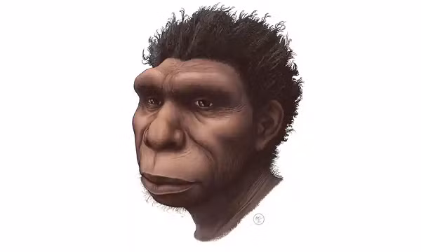 Nhóm nghiên cứu dẫn đầu bởi nhà cổ nhân học Mirjana Roksandic từ Đại học Winnipeg (Canada) đã phát hiện một tổ tiên mới của người hiện đại sống ở châu Phi vào giai đoạn giữa thế Pleistocen (thế Canh Tân, là thế trước của kỷ Đệ Tứ mà chúng ta đang thuộc về).