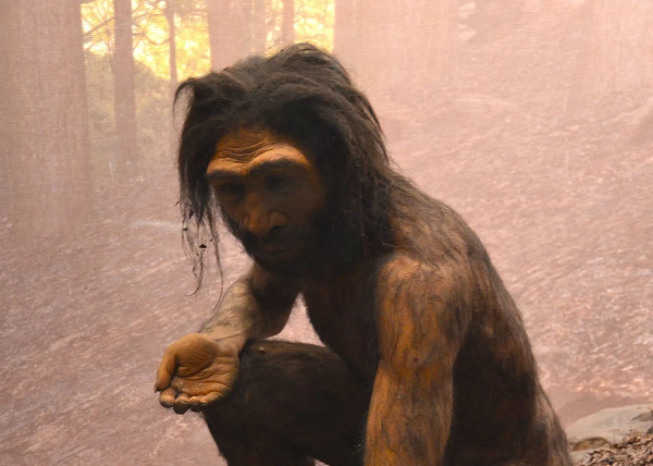 Các hóa thạch không bị nhầm lẫn thì rõ ràng có sự tương đồng và luôn bị tranh cãi là Homo heidelbergensis hay Homo rhodesiensis.