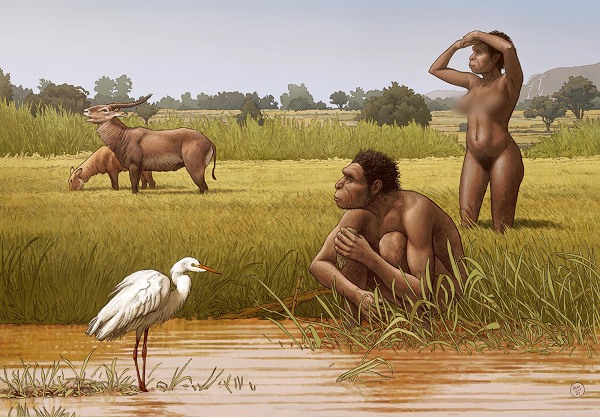 Loài người mới có tên là "Homo bodoensis", được phát hiện dựa trên sự đánh giá lại các hóa thạch hiện có từ châu Phi và lục địa Á-Âu trong khoảng giai đoạn giữa thế Pleistocen.