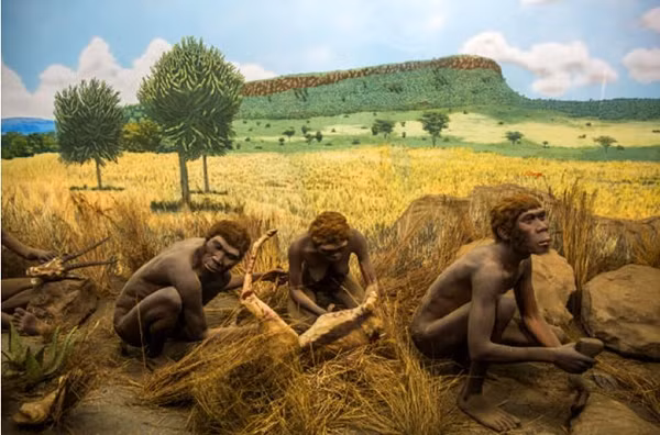 Các nhà khoa học không tuyên bố sẽ viết lại quá trình tiến hóa của loài người. Thay vào đó, họ tìm cách sắp xếp sự biến đổi được thấy ở người cổ đại, theo cách có thể thảo luận về việc họ đến từ đâu và đại diện cho điều gì.