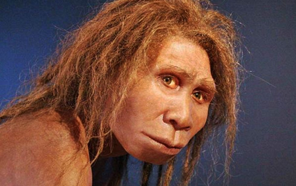 Tên mới này được đặt cho nhiều hóa thạch trước đây được xác định là Homo heidelbergensis hoặc Homo rhodesiensis. Các nhà nghiên cứu cho rằng Homo bodoensis là tổ tiên trực tiếp của Homo sapiens, cùng nhau hình thành một nhánh khác của họ nhà người.