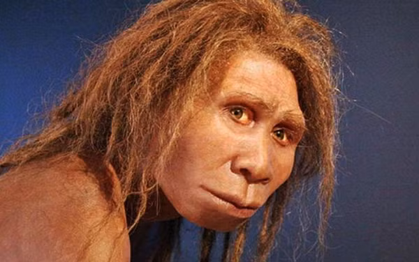 Tên mới này được đặt cho nhiều hóa thạch trước đây được xác định là Homo heidelbergensis hoặc Homo rhodesiensis. Các nhà nghiên cứu cho rằng Homo bodoensis là tổ tiên trực tiếp của Homo sapiens, cùng nhau hình thành một nhánh khác của họ nhà người.