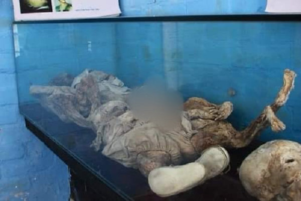 Hiện tượng lạ này bắt đầu được một thợ đào mộ có tên Eduardo Cifuentes chú ý tới cách đây 20 năm. Trong những lần cải tạo lại những ngôi mộ đã bị lãng quên, ông Cifuentes đã nhận ra điều gì đó thật đặc biệt ở khu an táng này.