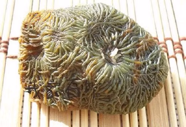 Đá mã não Gobi là một loại đá quý được rất nhiều người săn lùng.