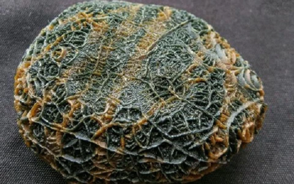 Nghe đến đây, ông Trương lập tức ngồi sụp xuống đất vì hối hận vì đã để tuột mất một món đồ giá trị đến như vậy.