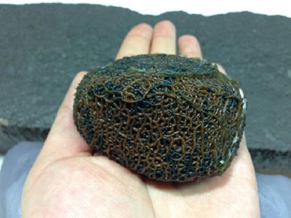 Đá mã não Gobi được hình thành từ khoảng hàng triệu năm trước khi dung nham dưới lòng đất phun ra một lượng lớn do sự thay đổi của vỏ trái đất.