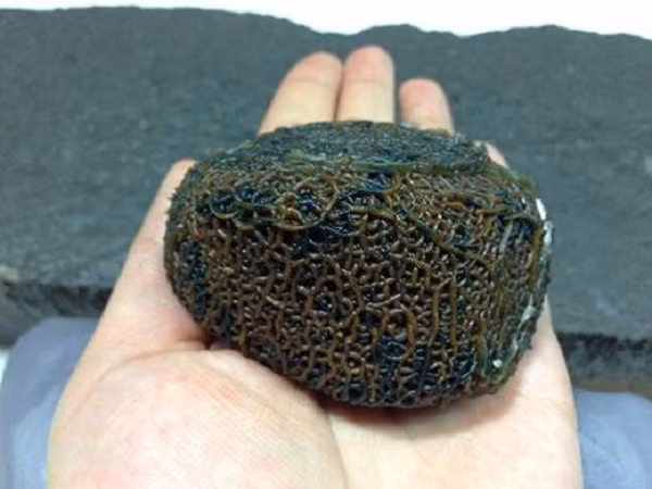 Đá mã não Gobi được hình thành từ khoảng hàng triệu năm trước khi dung nham dưới lòng đất phun ra một lượng lớn do sự thay đổi của vỏ trái đất.