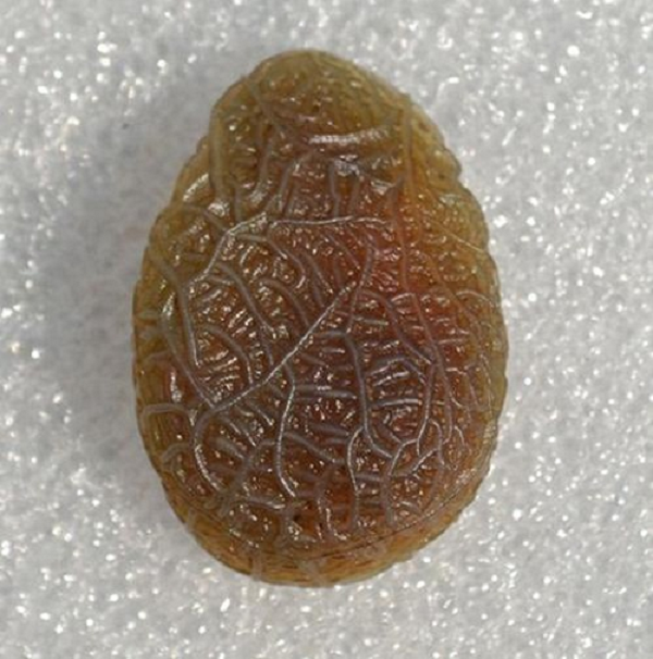 Nó không chỉ có giá trị lớn mà nó còn mang trên mình giá trị lịch sử rất lớn. Đặc biệt, những viên đá càng có nhiều vân lúc nhúc càng đắt giá.