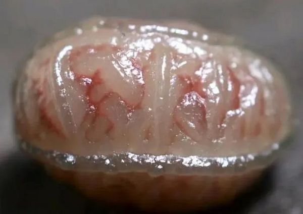 Khi ông Trương nhặt lên thì nhận thấy rằng hóa ra nó là viên đá có vẻ ngoài kỳ dị. Ông quyết định đem nó ra chợ bán cùng số sò, nghêu