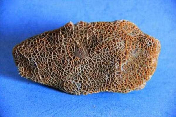 Đây là một nơi hầu như không có người sinh sống bởi khí hậu rất khắc nghiệt nên hình dáng hình thành của đá mã não Gobi cũng khác lạ so với những loại mã não tương tự khác. Mời các bạn xem video: Khung cảnh thiên nhiên tuyệt đẹp tại các quốc gia ít dân nhất thế giới. Nguồn: VTC.