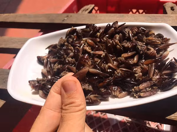 Loại tôm này thường được tìm thấy ở những nơi rừng sâu, cây cối rậm rạp, ẩm ướt. Theo tiếng của người dân tộc Nùng, tôm rừng còn được gọi là con cùng đống, chữ "cùng" nghĩa là tôm và chữ "đống" là rừng.