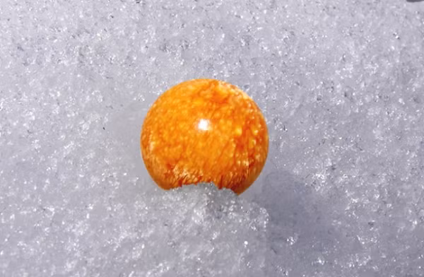 Tuy nhiên, điều khác biệt lớn nhất giữa hai loại ngọc quý này là trong khi ngọc trai từ các loại hàu và trai có thể chăn nuôi nhân tạo thì phương pháp nuôi cấy ngọc ốc giác vẫn chưa thành công.