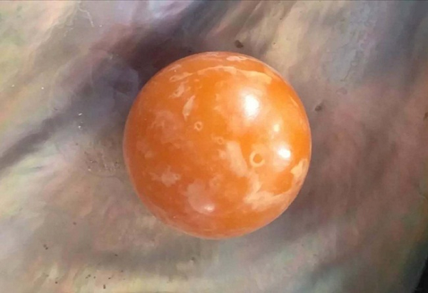 Ông Niwat Tantiwiwatkul, bố của Kodchakorn, cho hay họ hiện rất cần số tiền này bởi ông từng bị tai nạn, còn vợ thì được chẩn đoán ung thư nên đang cần số tiền hơn 1 triệu baht (hơn 32.000 USD).