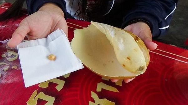 Kodchakorn Tantiwiwatkul mua một mớ ốc giác với giá 70 baht (2,3 USD) tại một khu chợ địa phương ở Satun để ăn tối. Lúc đang cắt ốc thành những miếng nhỏ để thưởng thức, Kodchakorn tìm thấy một vật nhỏ màu cam bên trong một trong những cái vỏ và ban đầu tưởng nó là đá.