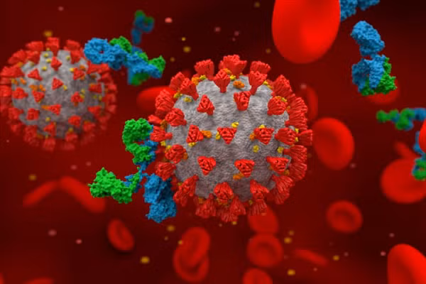 Tuy nhiên, phát biểu tại Diễn đàn Kinh tế Âu – Á ngày 30/10, Phó Giám đốc Alexander Gorelov nói: “Không thể đoán thời hạn rõ ràng rằng chúng ta có thể đánh bại sự lây nhiễm này và nó sẽ trở thành bệnh theo mùa. Quá trình này là đa yếu tố”.