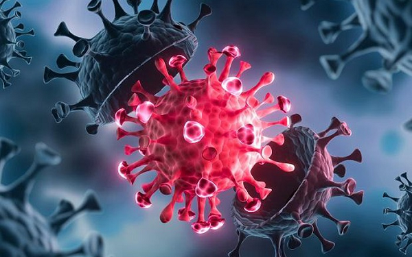 Biến thể Delta ở Nhật có khả năng lây nhiễm mạnh và lấn át các biến thể khác. Tuy nhiên, các nhà khoa học tin rằng khi ngày càng nhiều đột biến xuất hiện, virus bị lỗi và mất khả năng tự nhân bản.