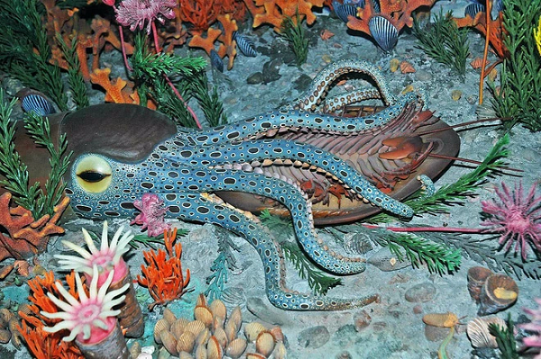 Đây là cuộc đại tuyệt chủng đầu tiên, hoặc lâu đời nhất trong “Big Five (~ 445 triệu năm trước)”. Khoảng 85% các loài sinh vật biển, hầu hết sống ở các đại dương nông gần lục địa, đã biến mất trong thời gian đó.