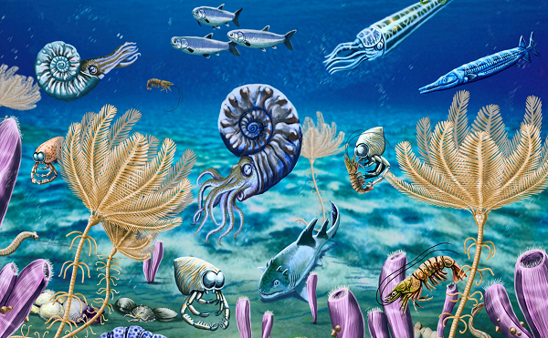 Không giống như các vụ tuyệt chủng hàng loạt nhanh chóng, như sự kiện tuyệt chủng kỷ Phấn trắng-Đệ tam, nơi khủng long và các loài khác đột ngột chết cách đây khoảng 65,5 triệu năm, Finnegan cho biết LOME đã diễn ra trong một khoảng thời gian đáng kể, với ước tính từ dưới nửa triệu đến gần hai triệu năm.